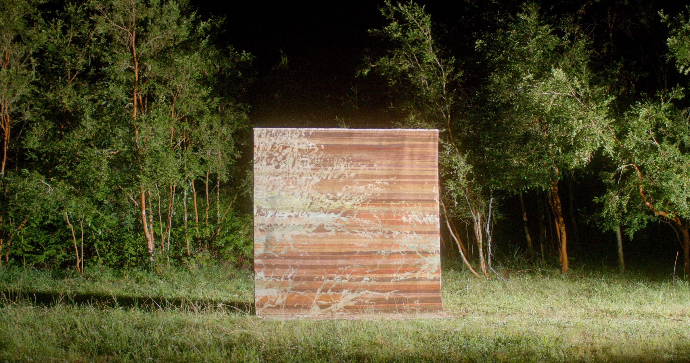 A piece lit against the night forest